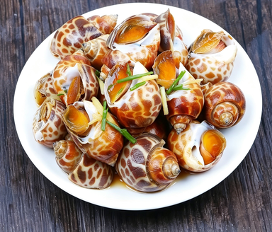 Fresh Sea Snails