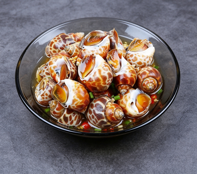 Fresh Sea Snails