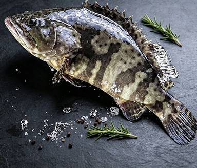 Whole Wild-Caught Grouper